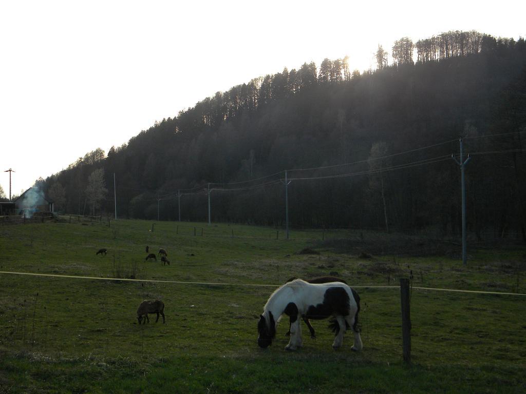 Penzion A Apartmany Skipark Hrabesice Krasne Luaran gambar